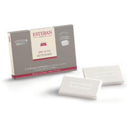Scented Refill for Car Diffuser 2x - Esprit de Thé