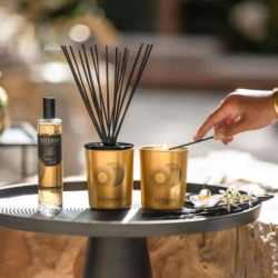 Bouquet Perfumado e Recarga 100ml - Vanille d'Or