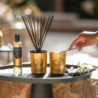 Bouquet Perfumado e Recarga 100ml - Vanille d'Or