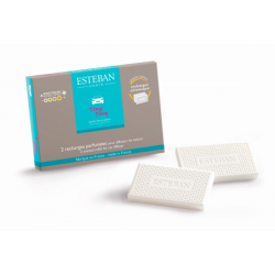 Scented Refill for Car Diffuser 2x - Ylang-Ylang