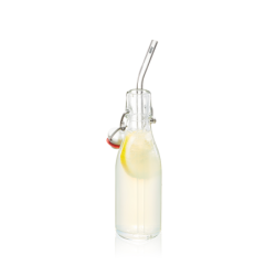 Set of 4 Glass Straw 23cm - Future