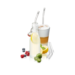 Set of 4 Glass Straw 23cm - Future