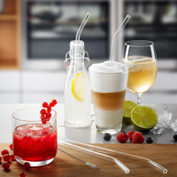 Set of 4 Glass Straw 23cm - Future
