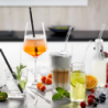 Set of 4 Glass Straw 23cm - Future