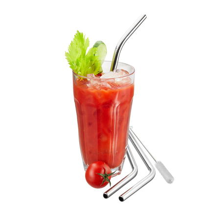 Set of 4 Stainless Steel Straw 23cm - Future