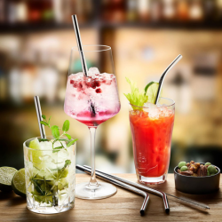 Set of 4 Stainless Steel Straw 23cm - Future