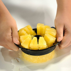 Pineapple Slicer - Professional