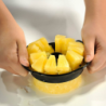 Pineapple Slicer - Professional