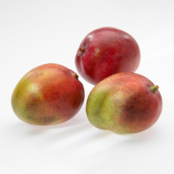Cortador de Mango - Parti