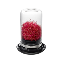 Sprouting Jar - Bivita