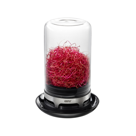 Sprouting Jar - Bivita