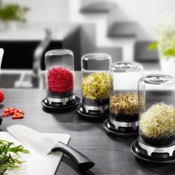 Sprouting Jar - Bivita