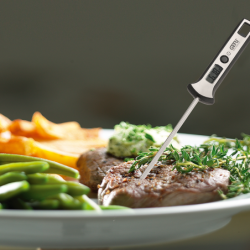 Digital Thermometer - Scala