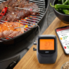 Grill and Roast Thermometer - CONTROL+