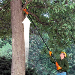 18V 2Ah 20cm Telescopic Chainsaw