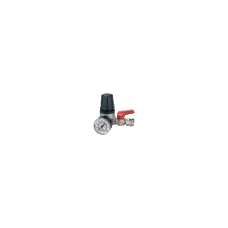 Regulador De Pressão Com Manómetro - 31/A4 1/4F 1/4' BSP ANi