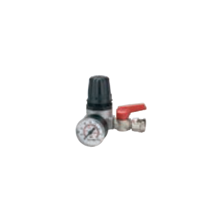 Regulador De Pressão Com Manómetro - 31/A4 1/4F 1/4' BSP ANi