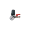 Regulador De Pressão Com Manómetro - 31/A4 1/4F 1/4' BSP ANi