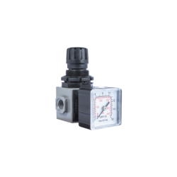 ANi Modular Pressure Regulator - E/15 Mignon E/15/2 1/4' BSP