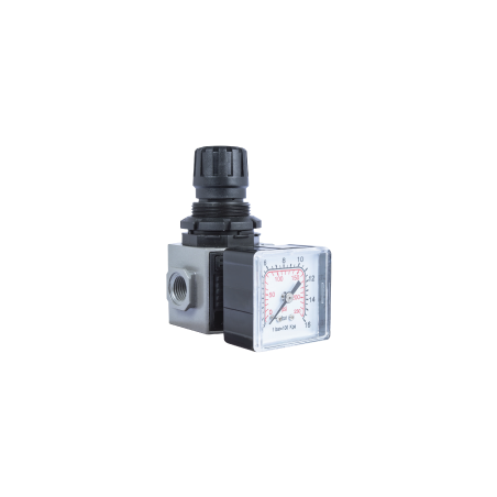 ANi Modular Pressure Regulator - E/15 Mignon E/15/2 1/4' BSP