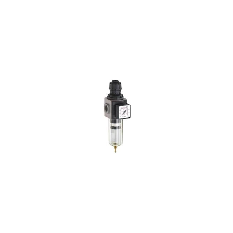 Regulador De Ar Modular Com Filtro - E/24 Medium E/24/2 3/8' BSP ANi