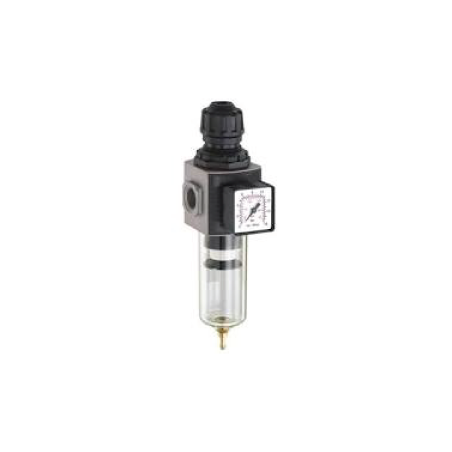 Regulador De Ar Modular Com Filtro - E/24 Medium E/24/2 3/8' BSP ANi