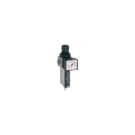 Regulador De Pressão Modular - E/25 Medium E/25/2 3/8' BSP ANi