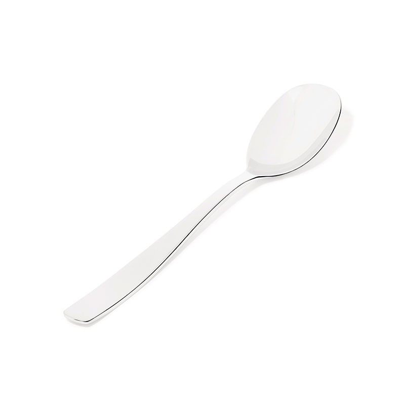 Cuchara de Servicio 25cm – Knifeforkspoon