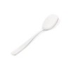 Cuchara de Servicio 25cm – Knifeforkspoon