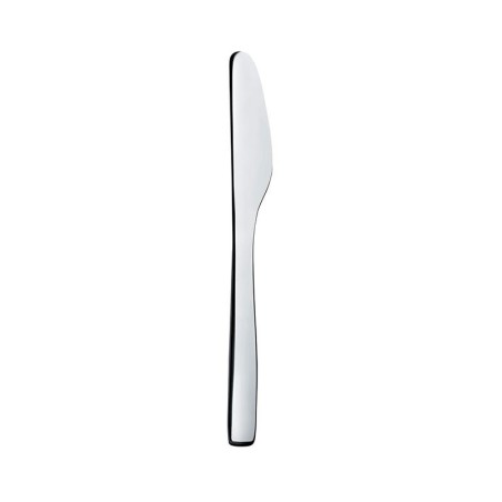 Set of 6 Table Knives Monobloc – Knifeforkspoon