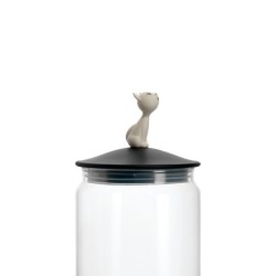 MIO' JAR CONTAINER