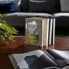 Apoya Libros - Vigo