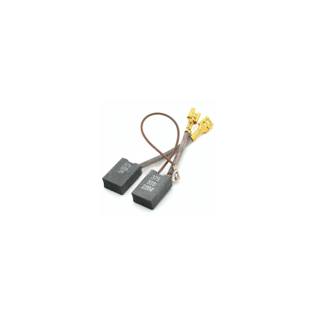 Conjunto de Escovas PM10E-PN11E AEG