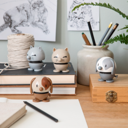 CAT LIGHT GREY