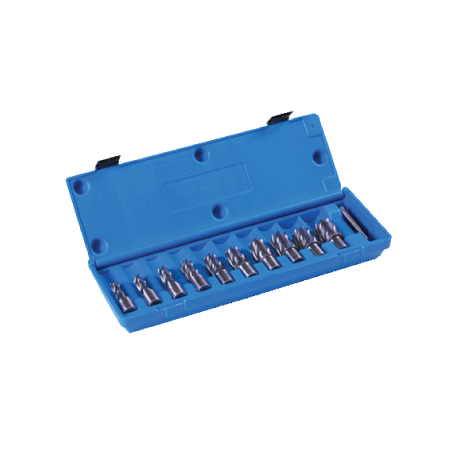 JOGO 10 BROCAS CRANEANAS HSS-19,05