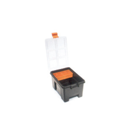 00375*ORGANIZER