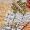 Molde Para Raviolis Chef - Raviolamp Nº12