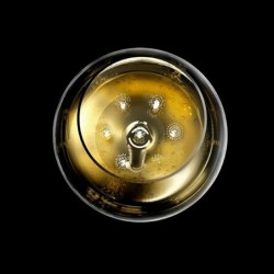 Conj. 6 Copos Espumante Pontos Perlage - Etoilé Sparkle