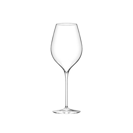 Set of 2 Wine Glasses - Masterclass 48 Excellence