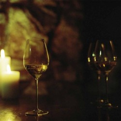 Set of 2 Wine Glasses - Masterclass 48 Excellence