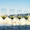 Set of 2 Wine Glasses - Masterclass 48 Excellence