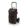 Carro para Compras – Citycruiser Rack