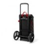 Carro para Compras – Citycruiser Rack