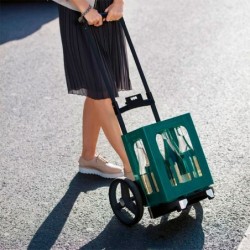Carro para Compras – Citycruiser Rack