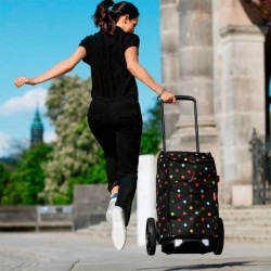 Carretilla de Mano – Citycruiser