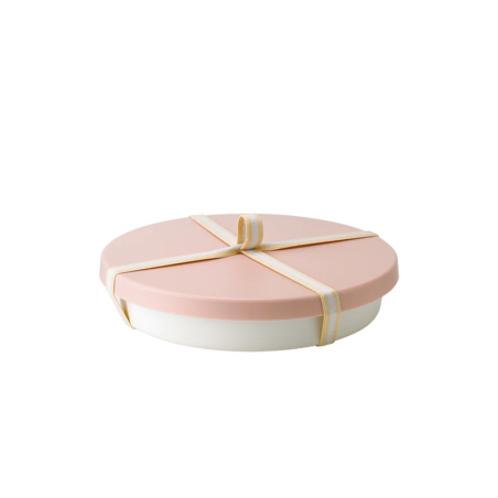Cake Pan with Lid Ø25cm - Picnic
