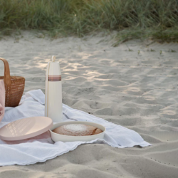 Cake Pan with Lid Ø25cm - Picnic