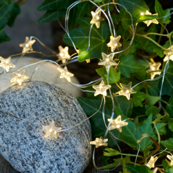 Star 40 Micro Leds Warm White - Trille