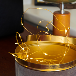 Knirke Gold 40 Micro Leds Warm White - Fairy Lights