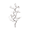 Ramo 66 Leds 90cm - Rasmine